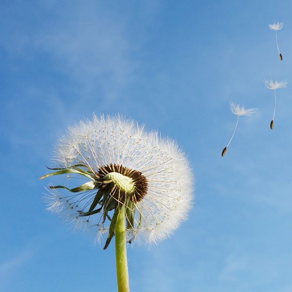 F66永乐·(中国集团)官方网站